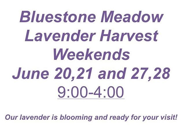 My booth will be there next weekend. http://www.bluestonemeadow.com