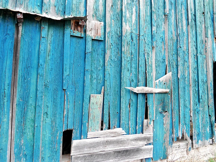 barn-wall-chloe-shackelton.jpg