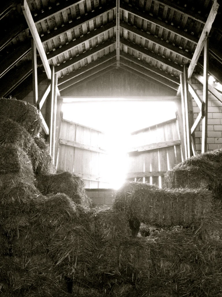 hayloft1.jpg