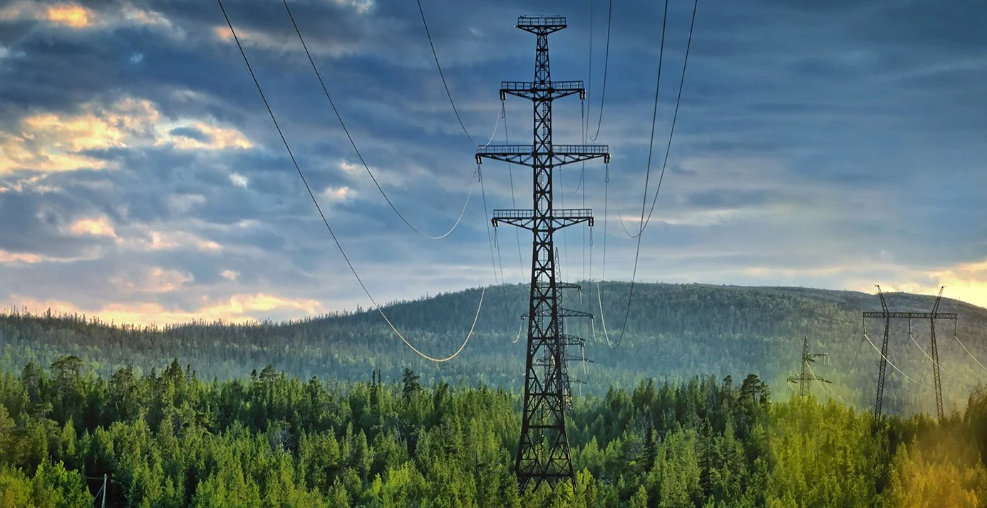  Don’t Make Vegetation Management Decisions in the Dark