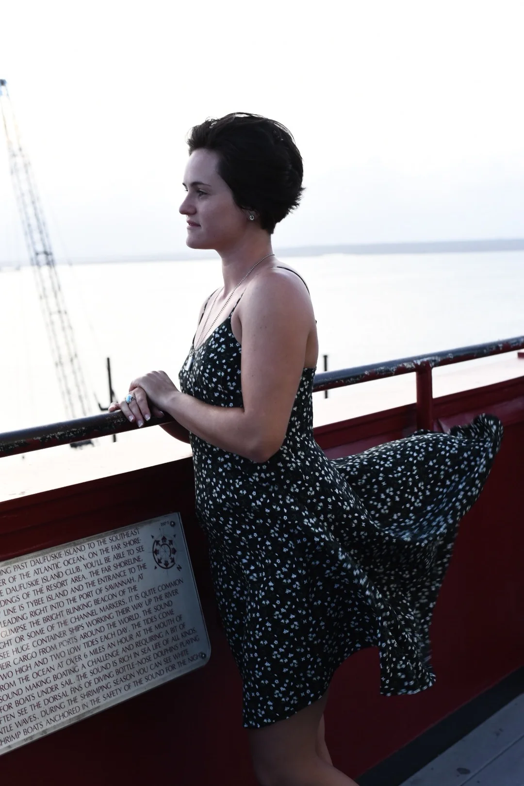 "Oh my gosh! quick grab it, pull it down!". Her dressed flew up in an unladylike manner as an impertinent gust blew through the railing. Click. Perfect angle to add some drama. Who wants to look ladylike in a picture anyway. 