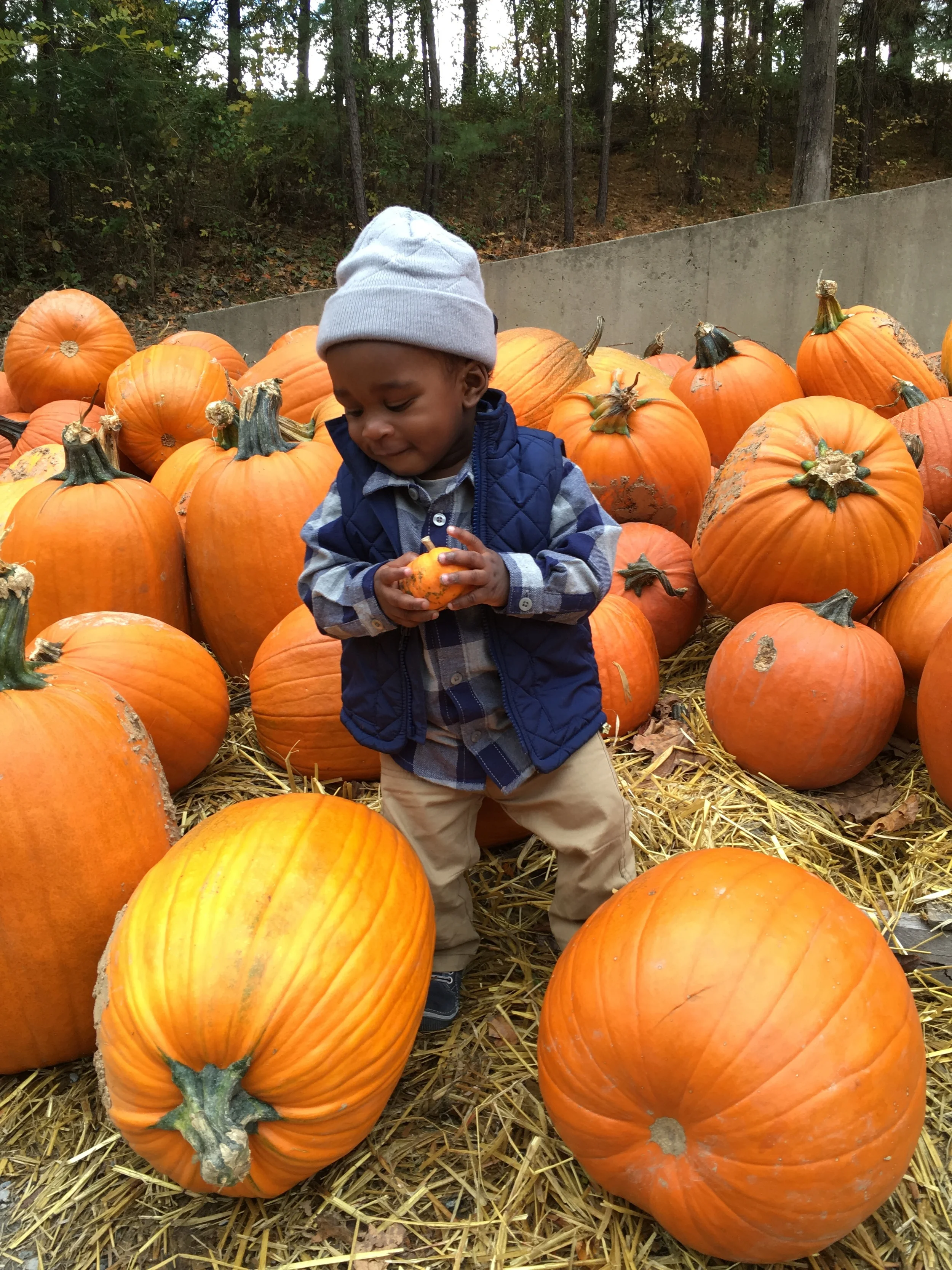 Loving Baby Lennox: Edition 1