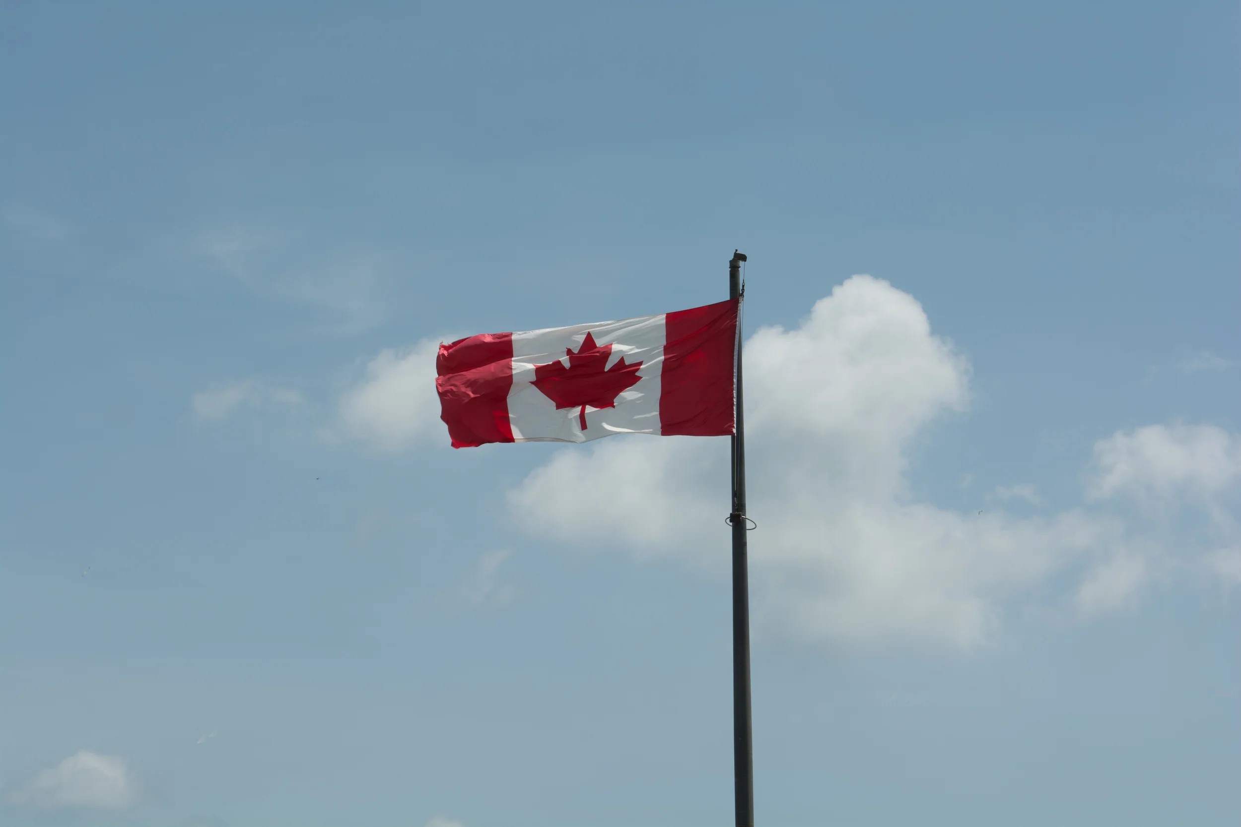 Canadaian flag.jpg