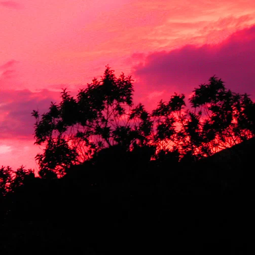 A day of judgment and joy