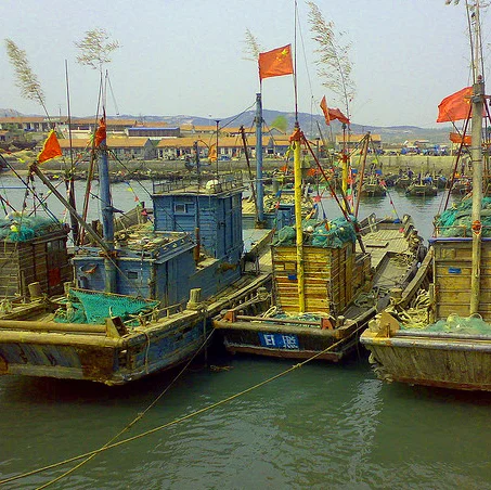 Share the Living Hope