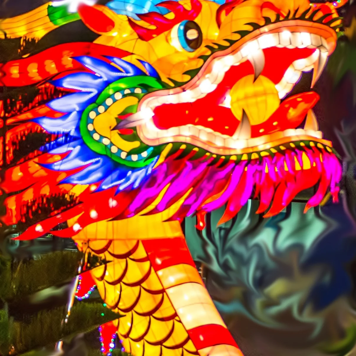 New Year/Spring Festival Celebration Advice