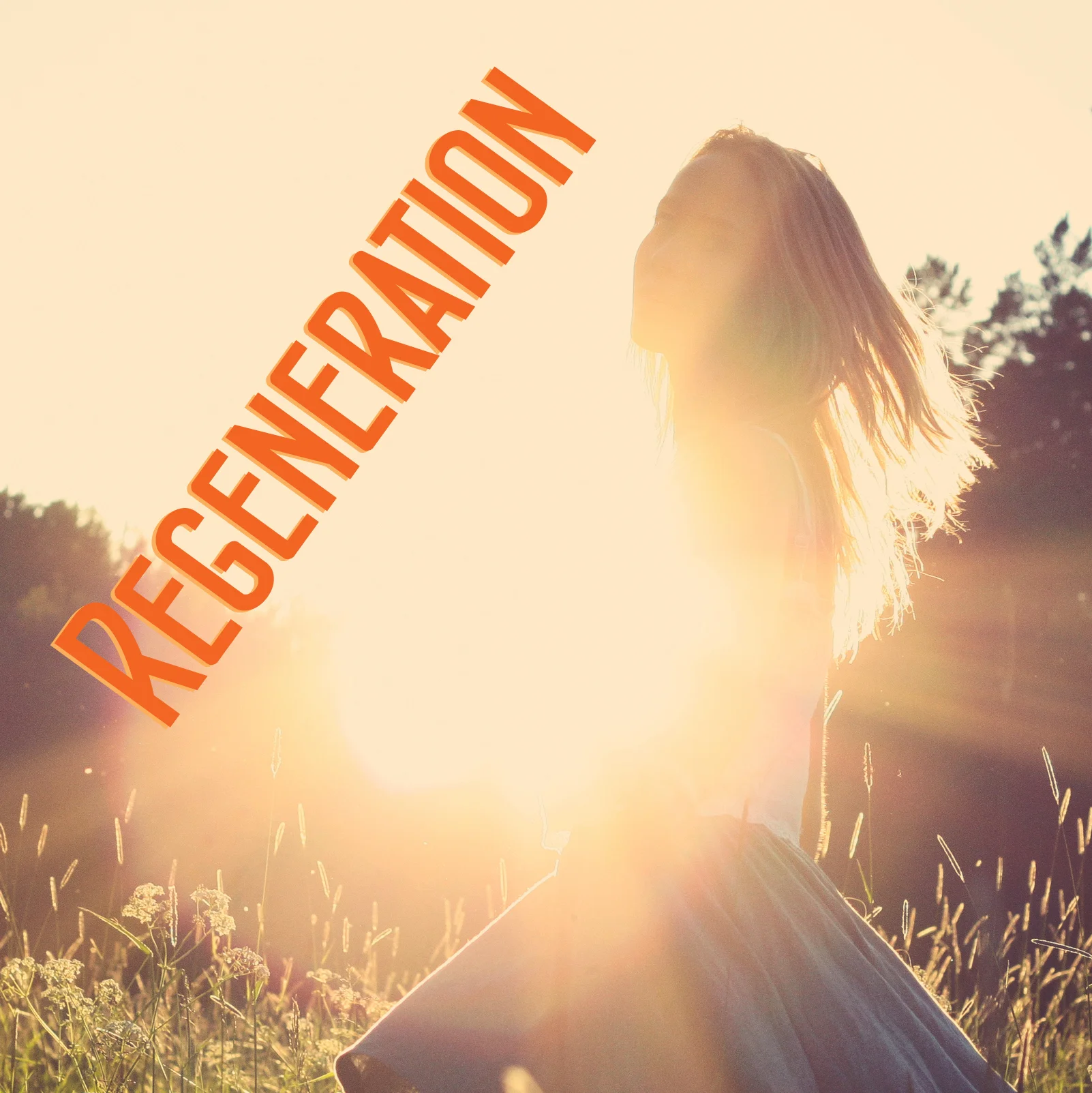 Regeneration (Part 1)