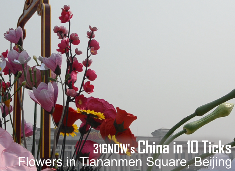 10 Ticks in China// Tiananmen Square flowers