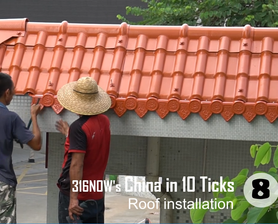 10 Ticks // Finishing a roof installation