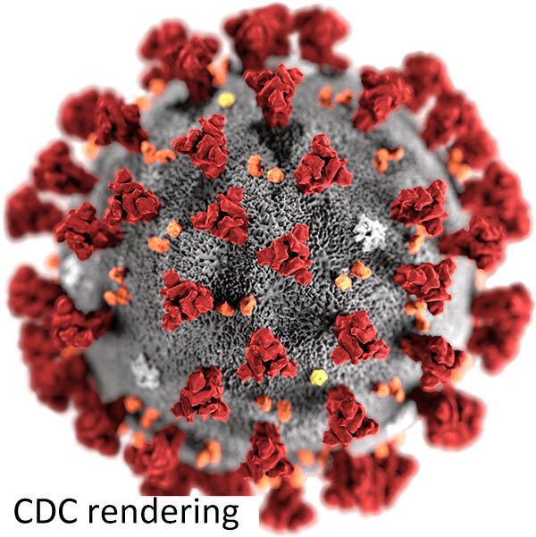 NEWS//Is COVI-19 nearly at peak?