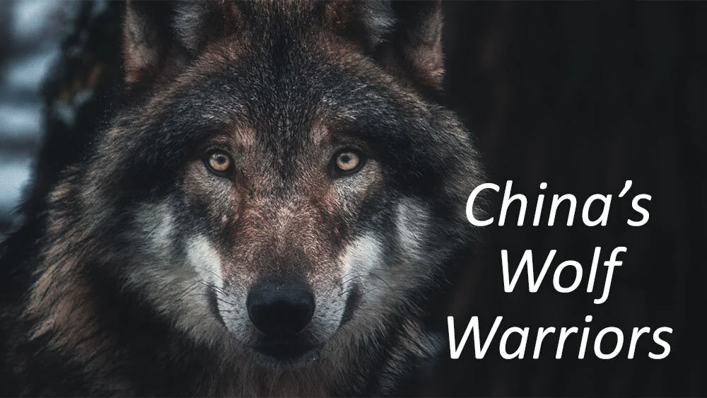 NEWS//Wolf Warriors