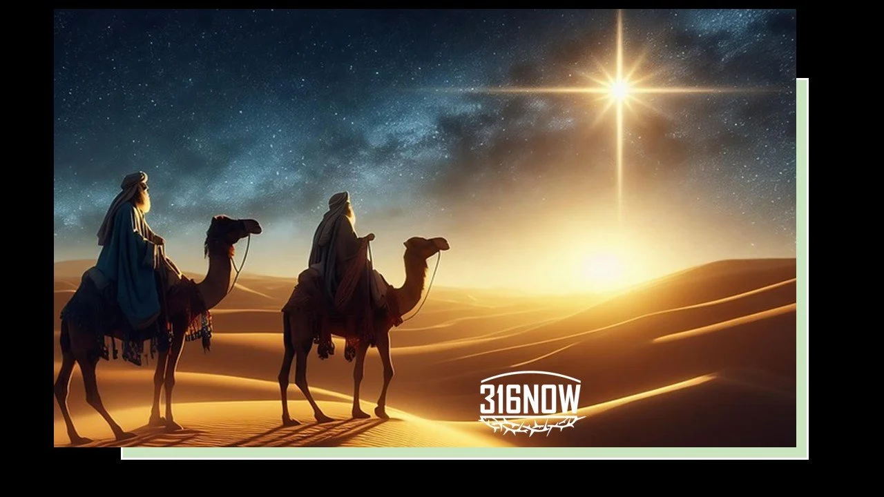 DEVOTION / The Wandering Star