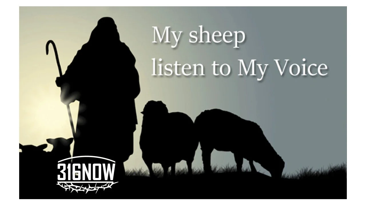 DEVOTION/A shepherd’s voice