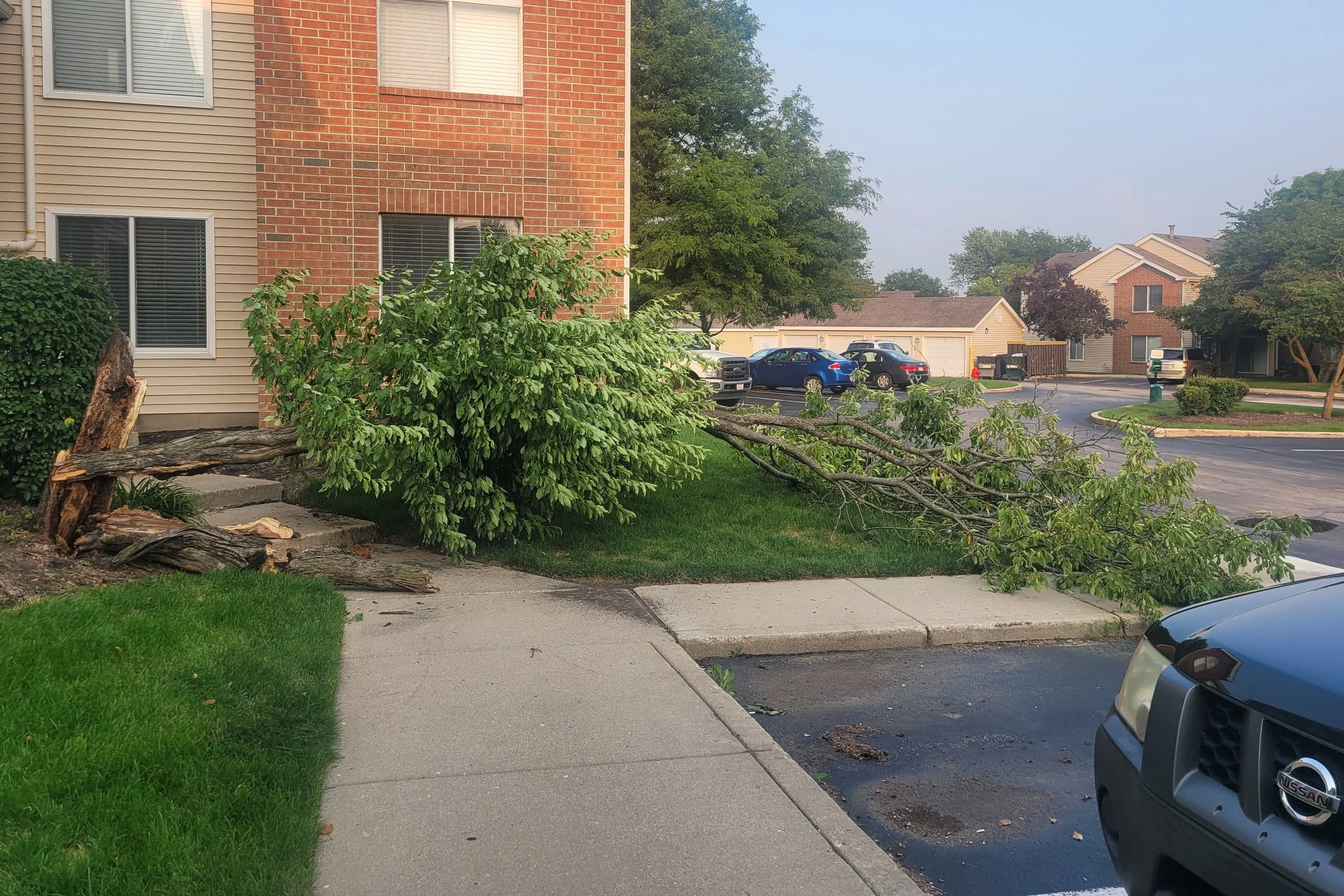 Big Storm Aftermath.jpg