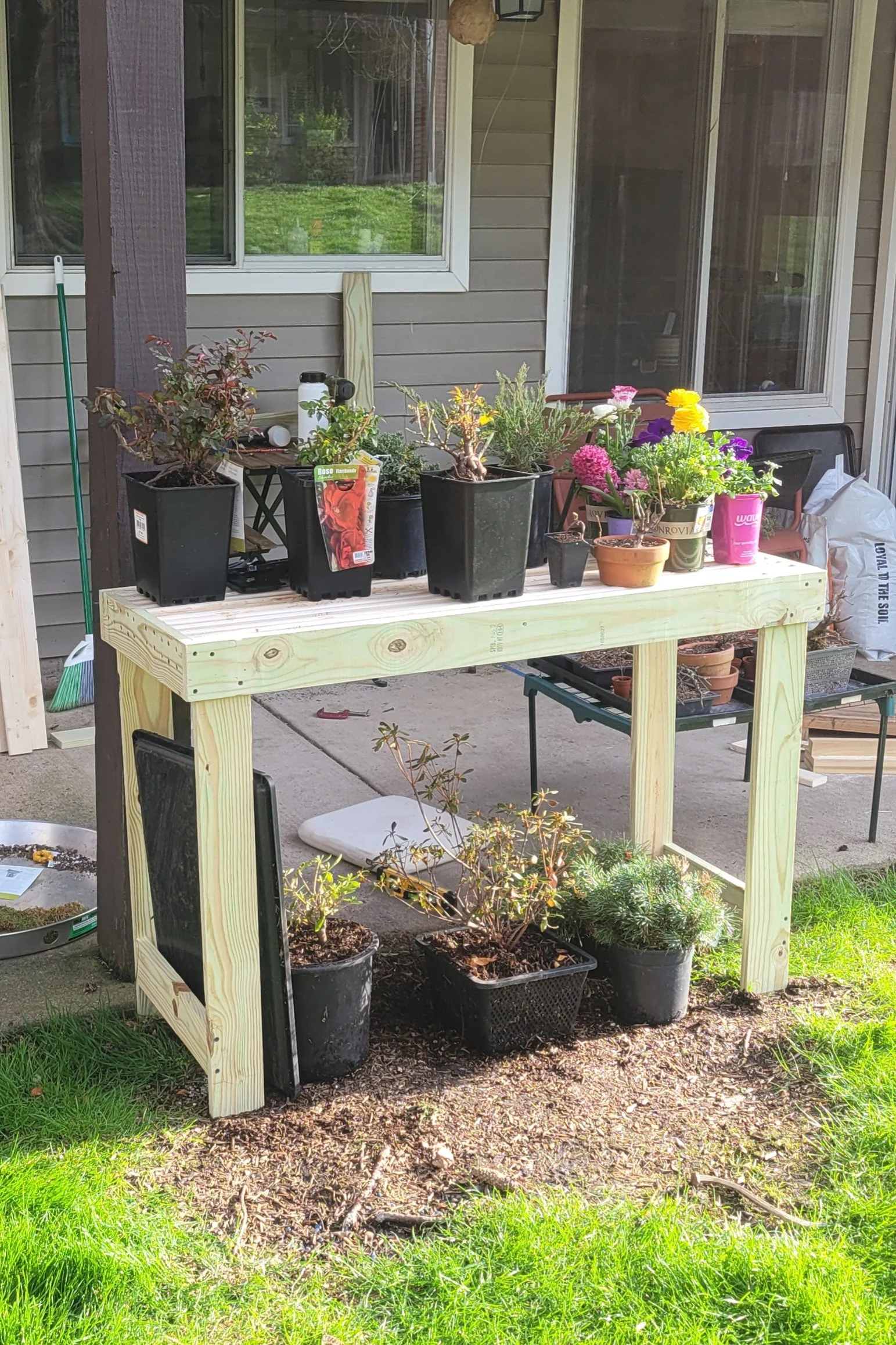 I Built a Bonsai Bench.jpg