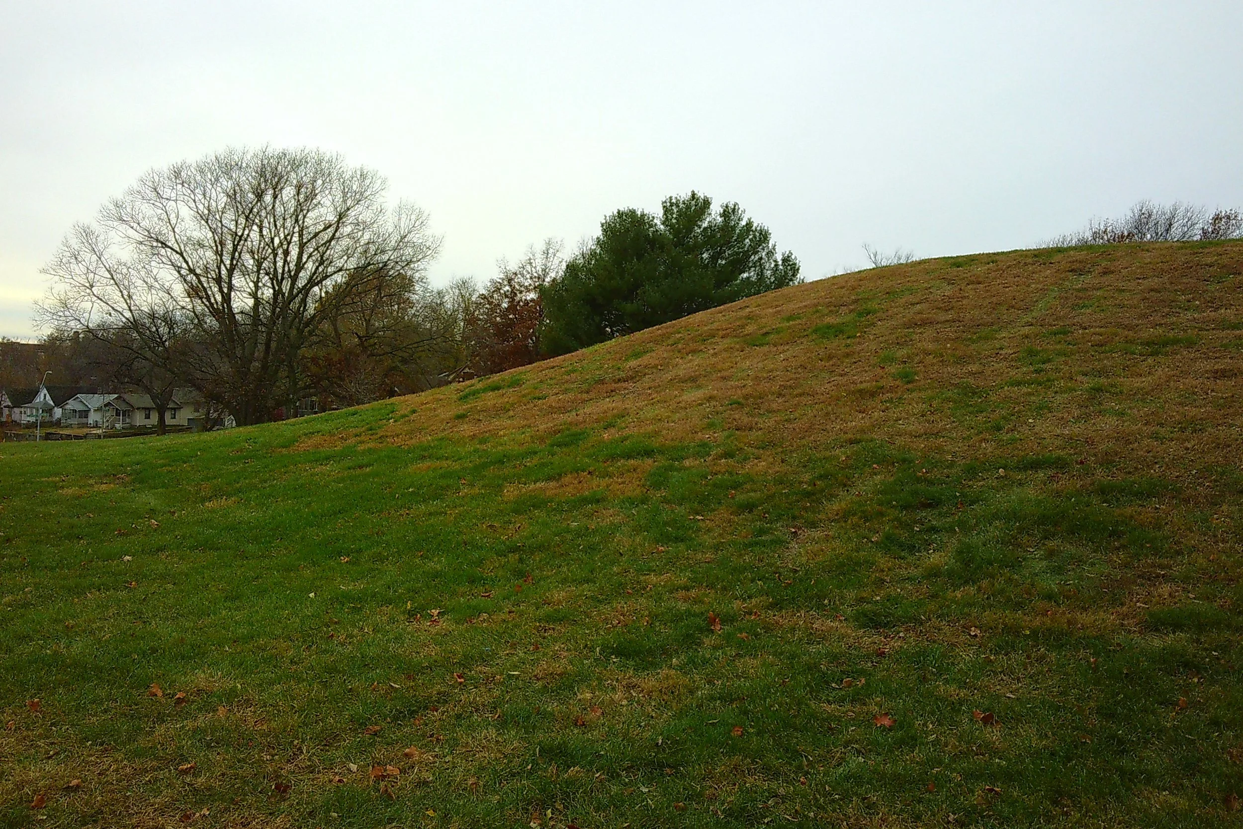 KC Thanksgiving 12.jpg