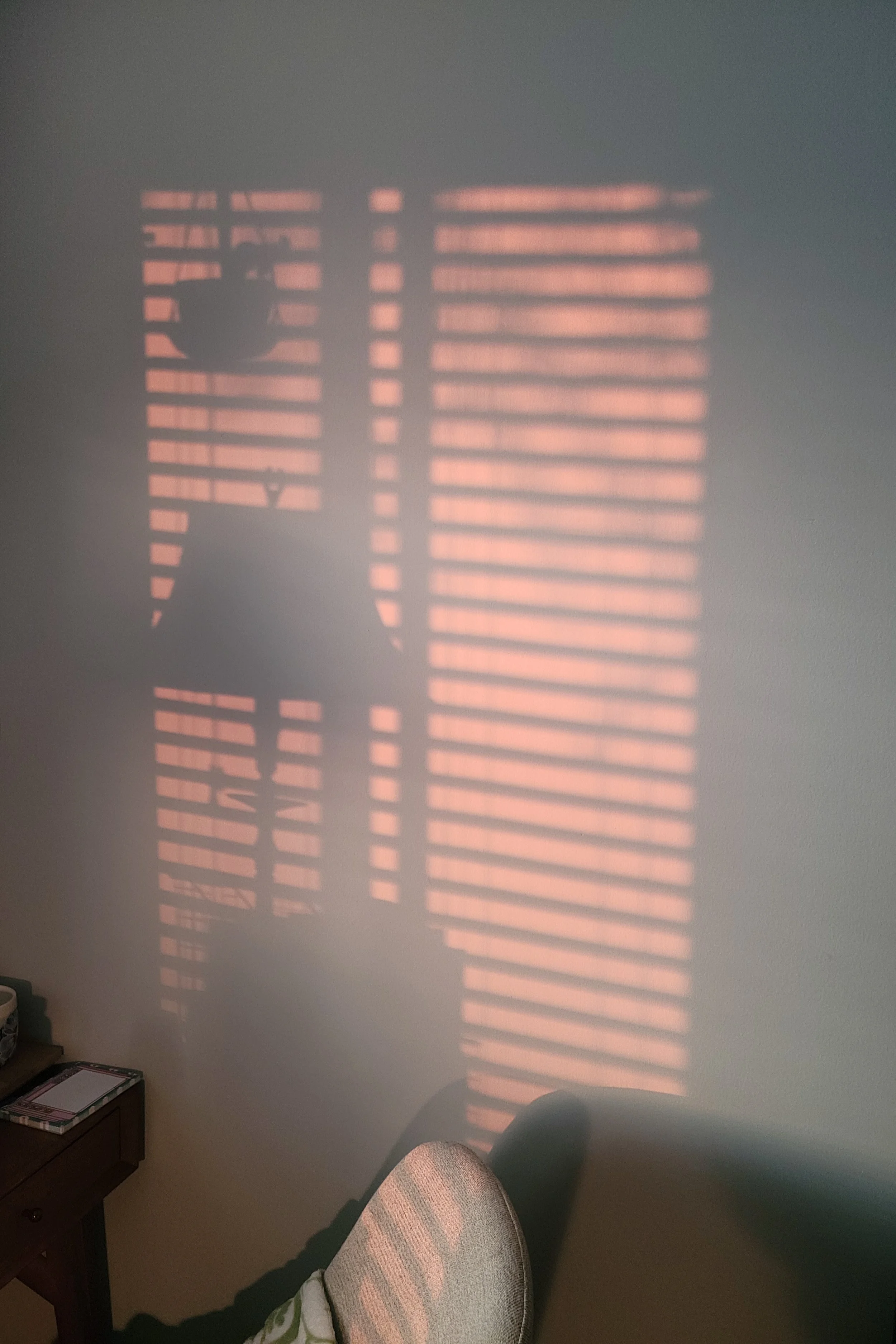 Light 01.jpg