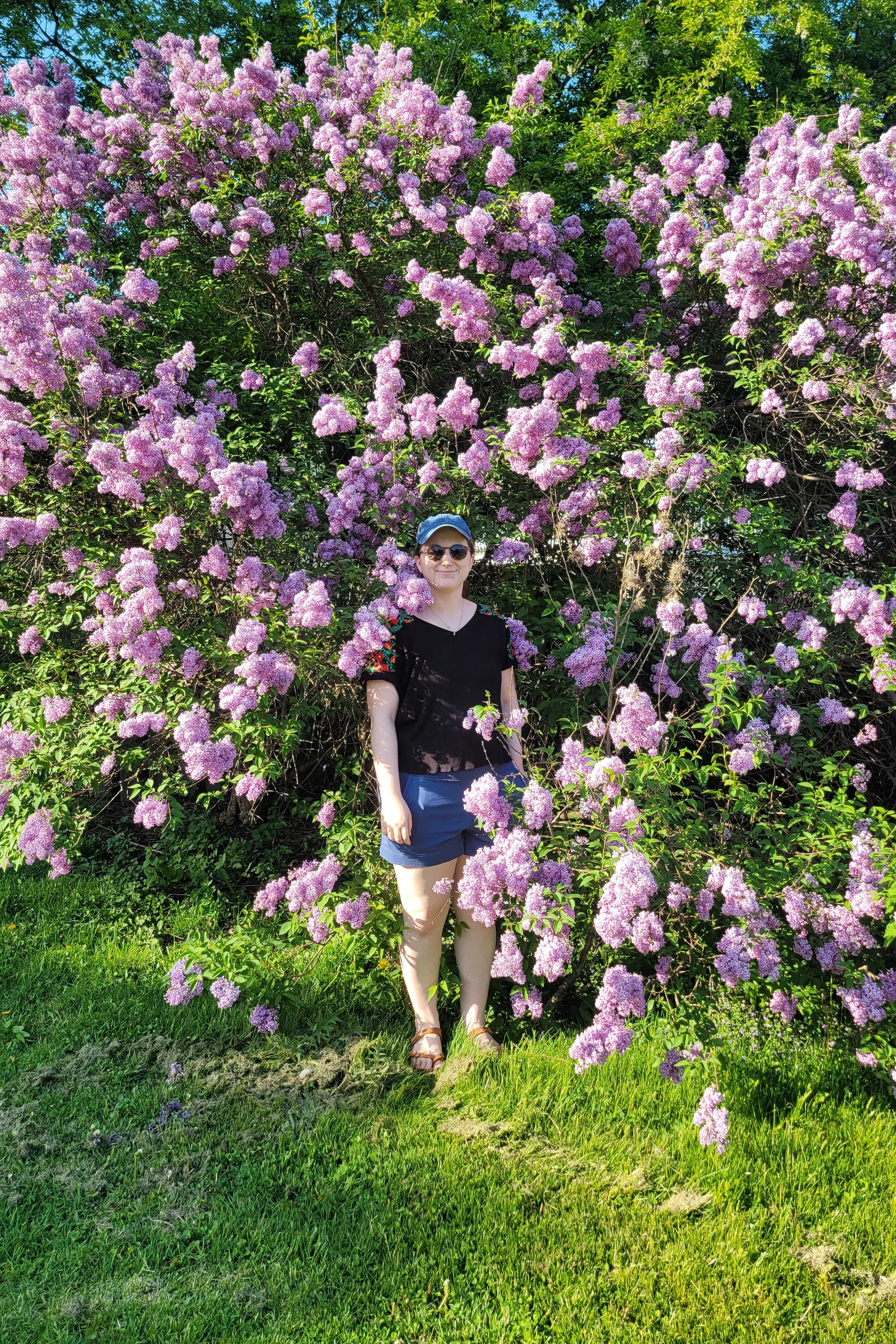 Lilacs 2.jpg