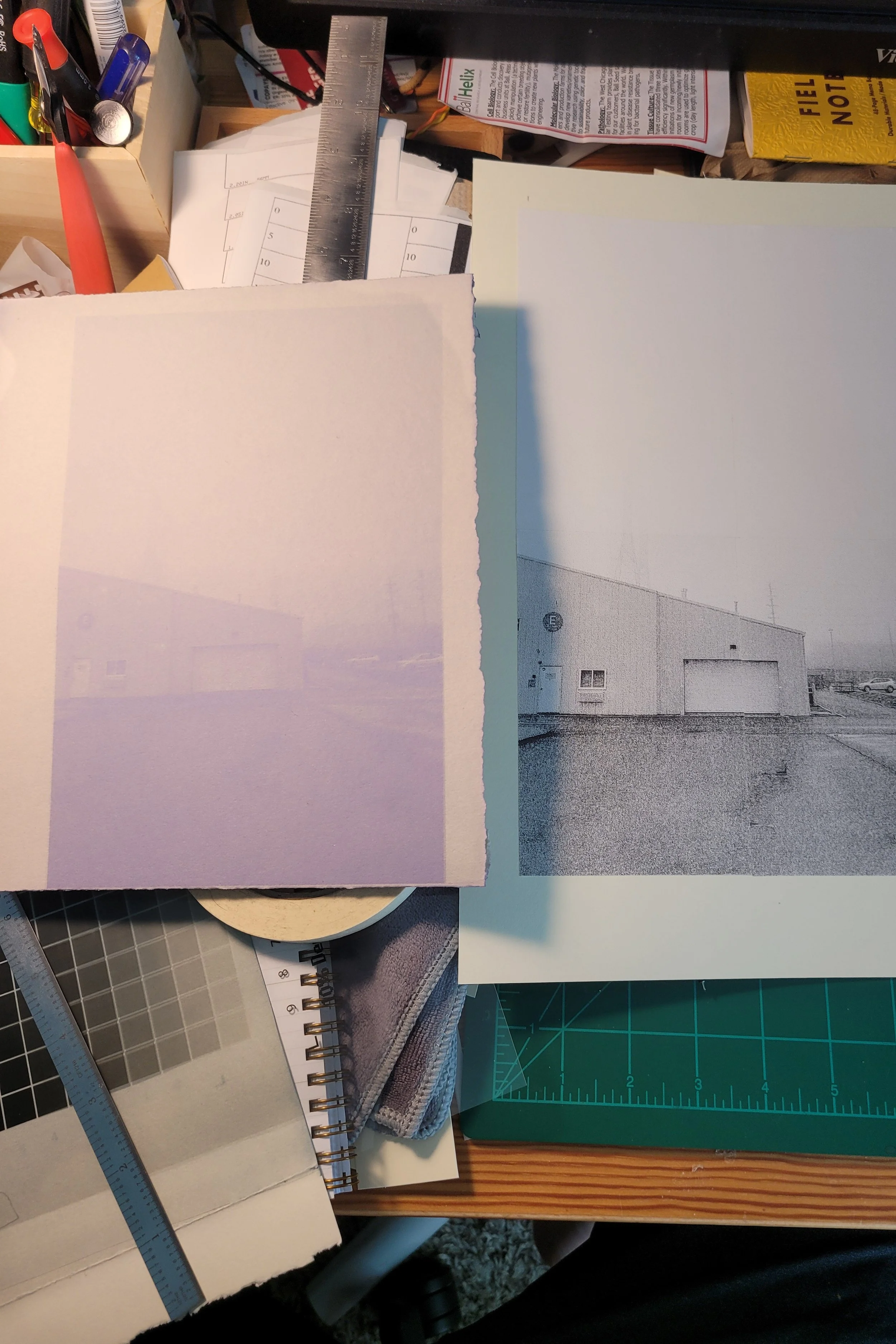 Same image, 2 processes.jpg