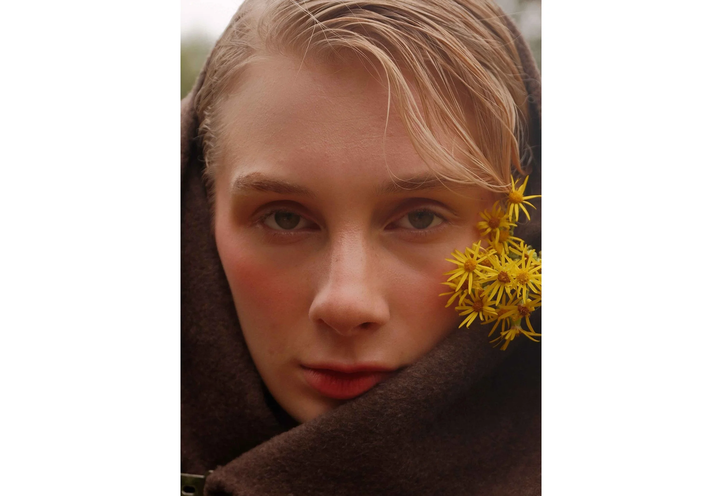 Petra's Website Layout_6.jpg