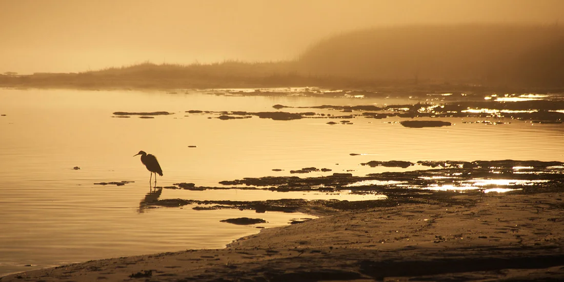Andrew Howells_Dawn