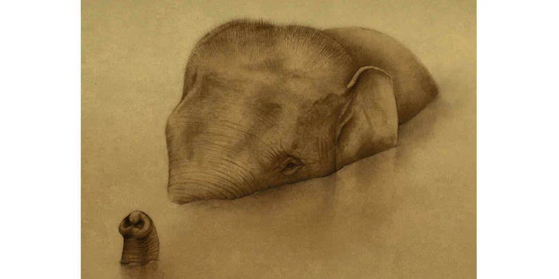 Andrew Howells_Asian Elephant