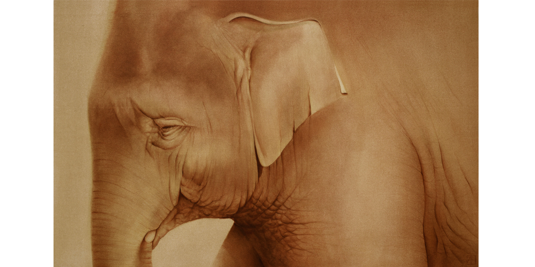 Andrew Howells_Golden Elephant
