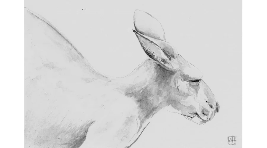 Andrew Howells_Mighty Roo