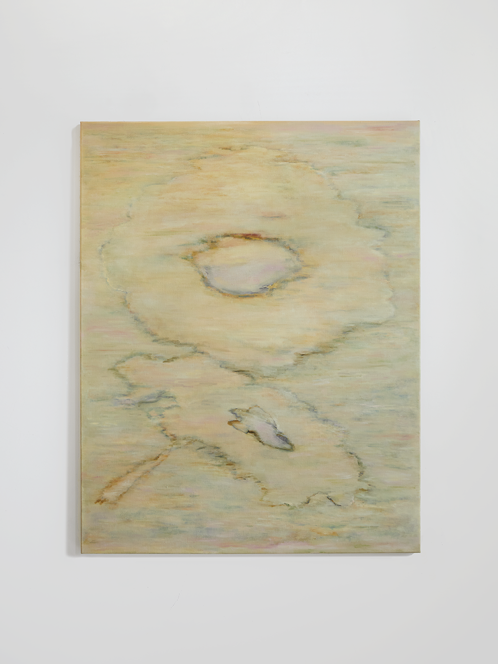 Op. 5, The Yellow Rose Before You Were Born