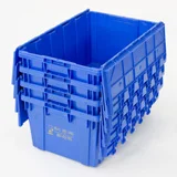 bluebinsmasmoving.jpg