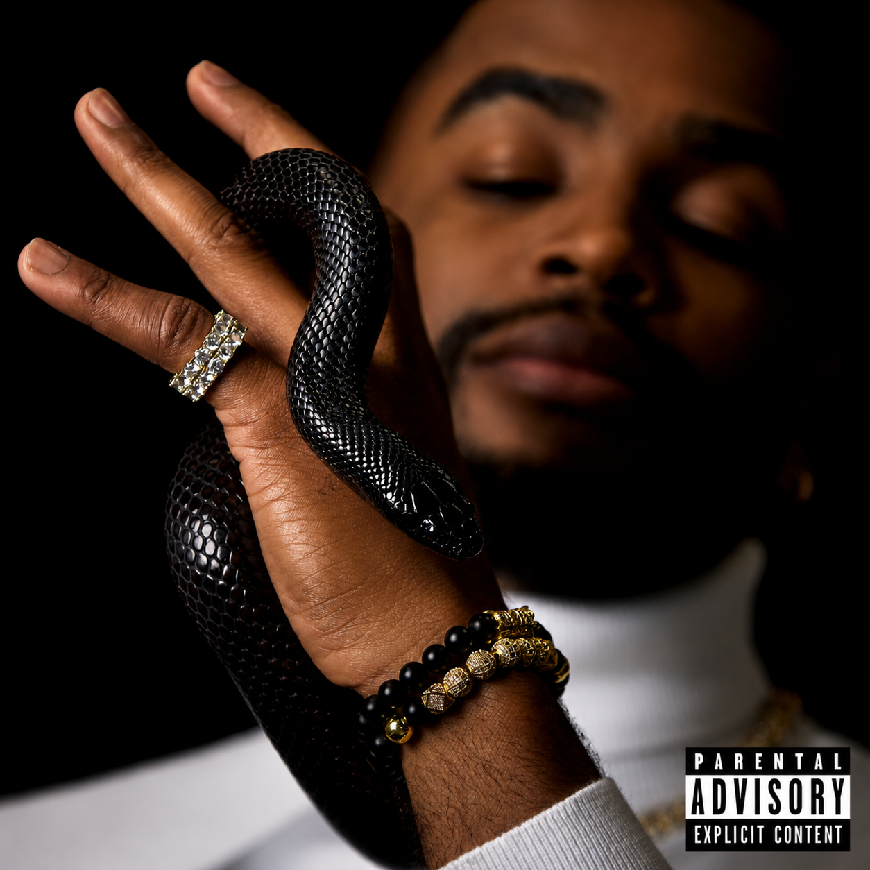 SNAKESKINS: An American Hustle (Album)