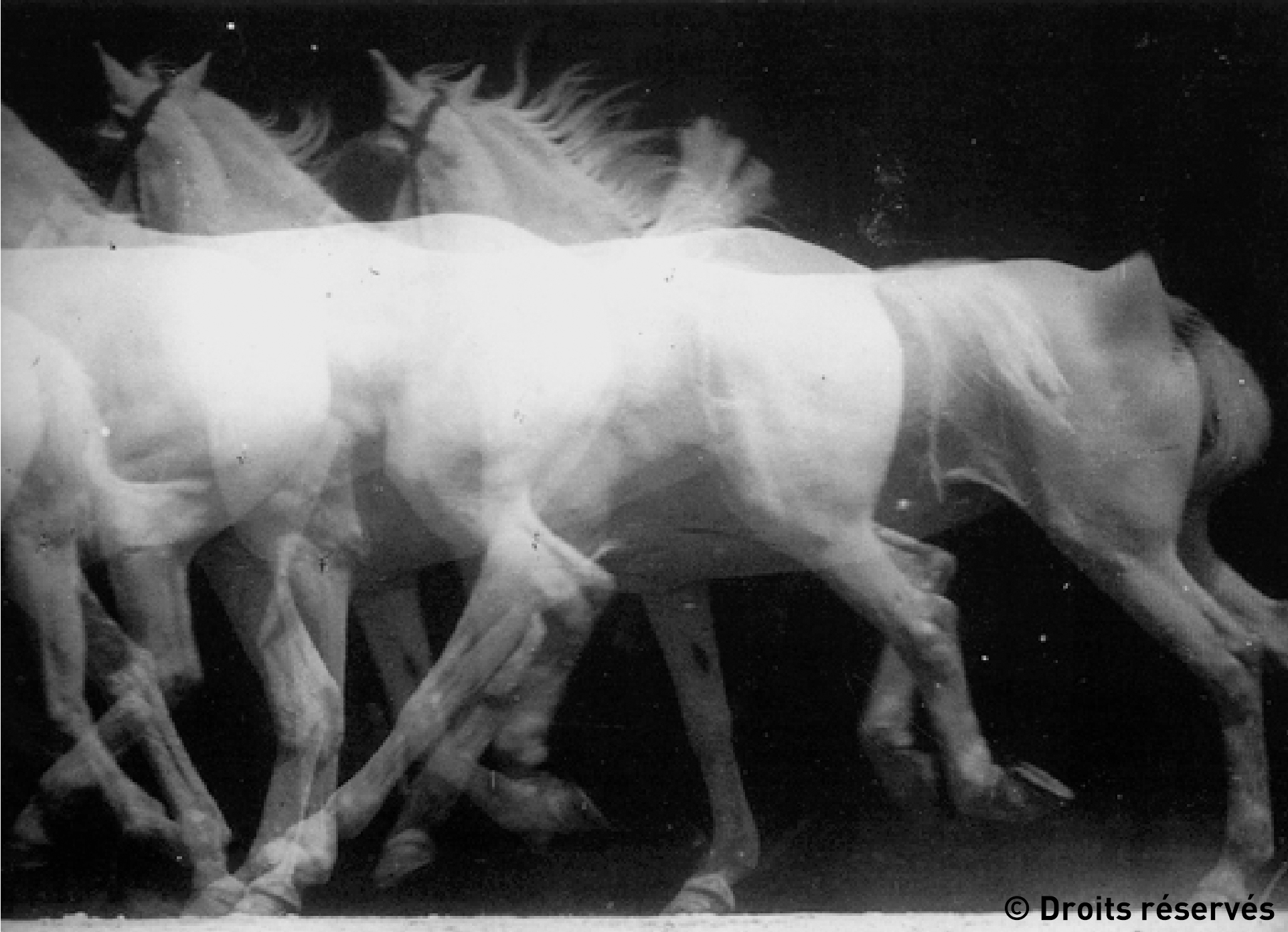 Etienne Jules Marey.png