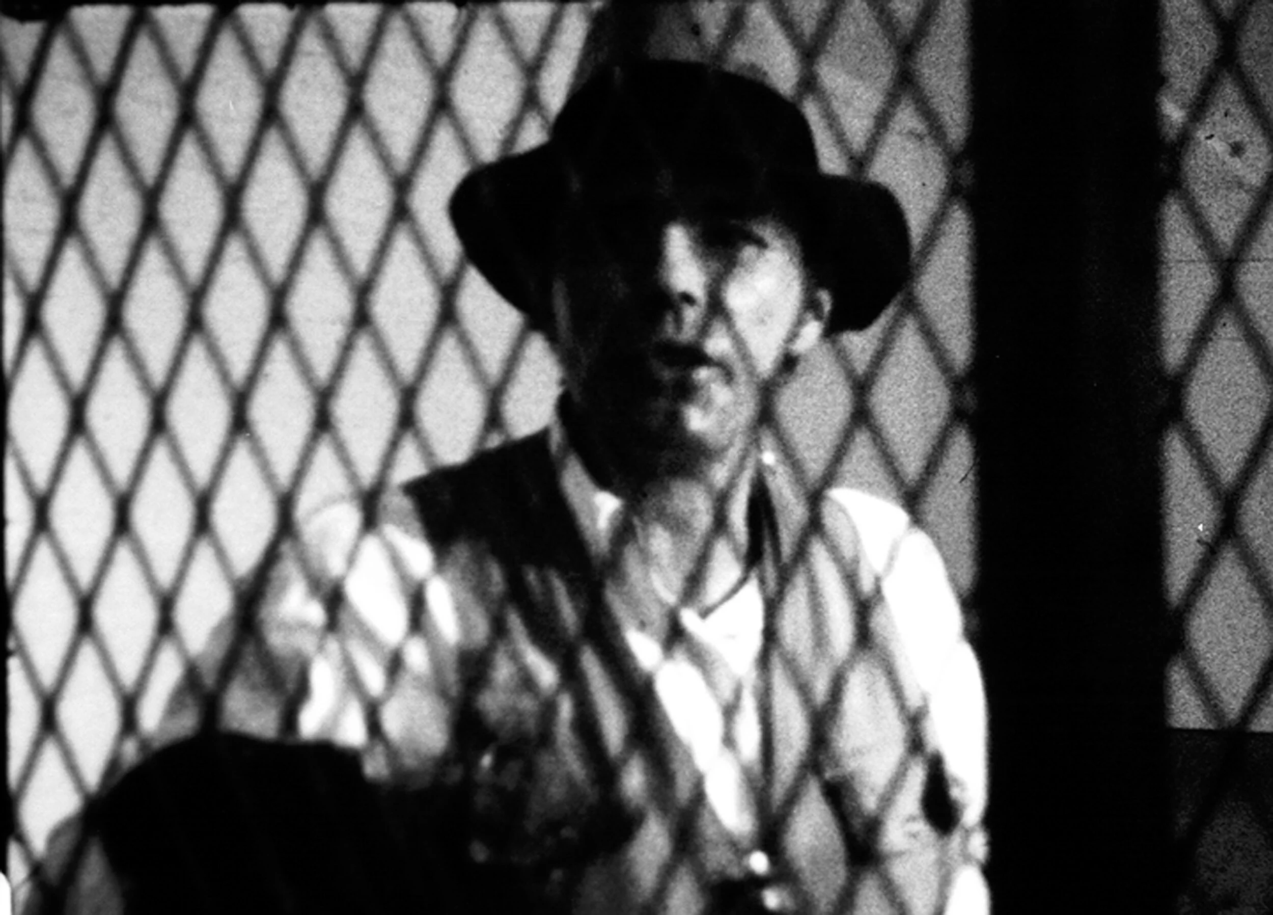 Joseph Beuys: I Like America and America Likes Me