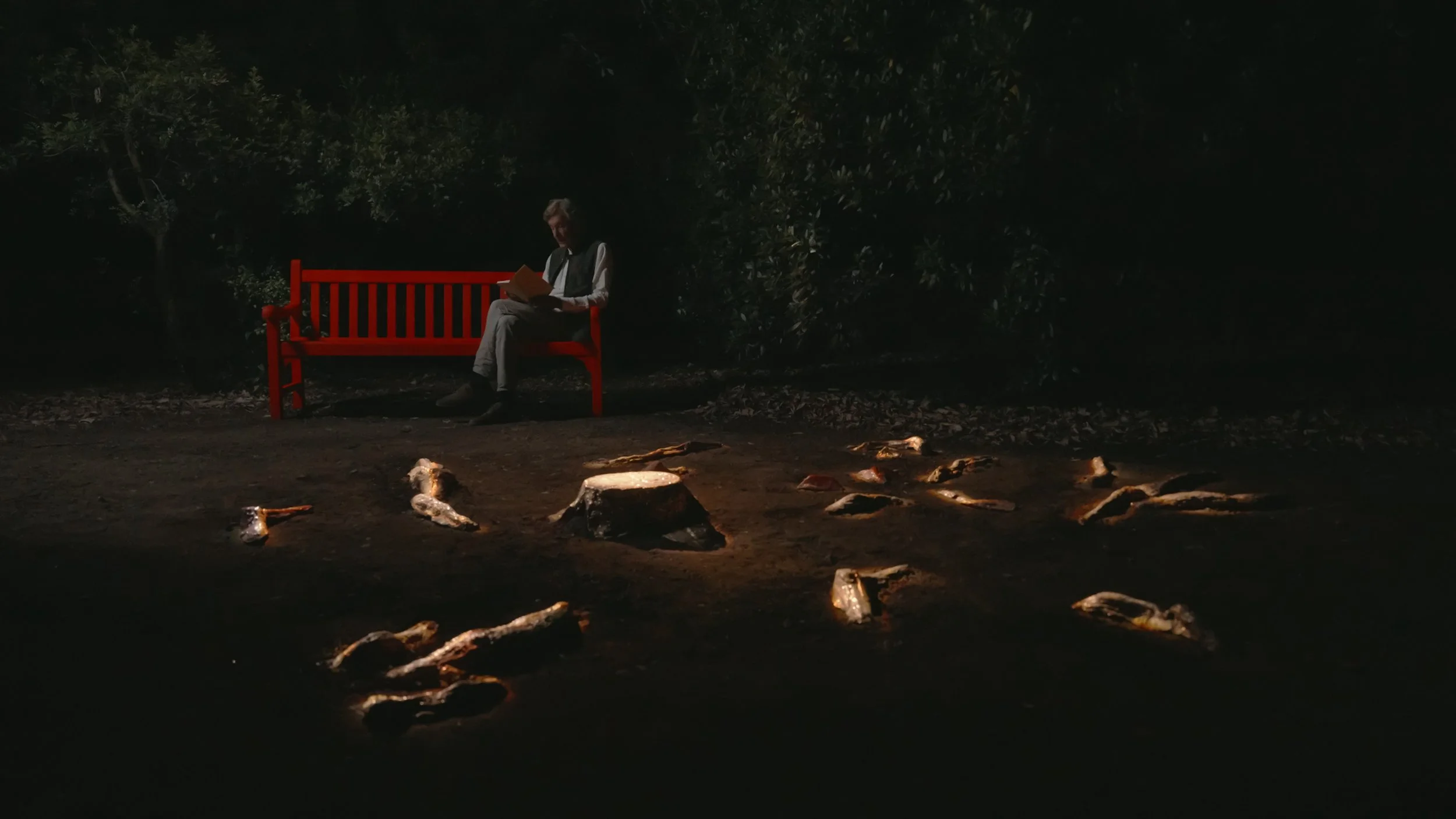 Marco_Bagnoli_Radici_Nel_Cielo_Still_01.jpg