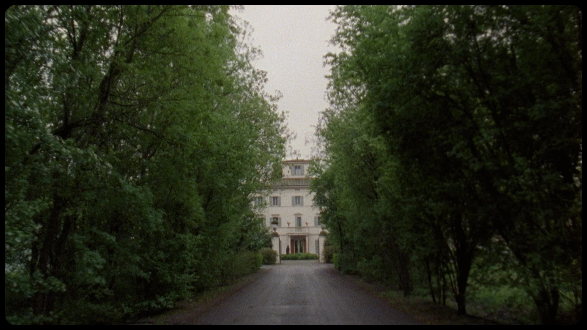 Still3.jpg