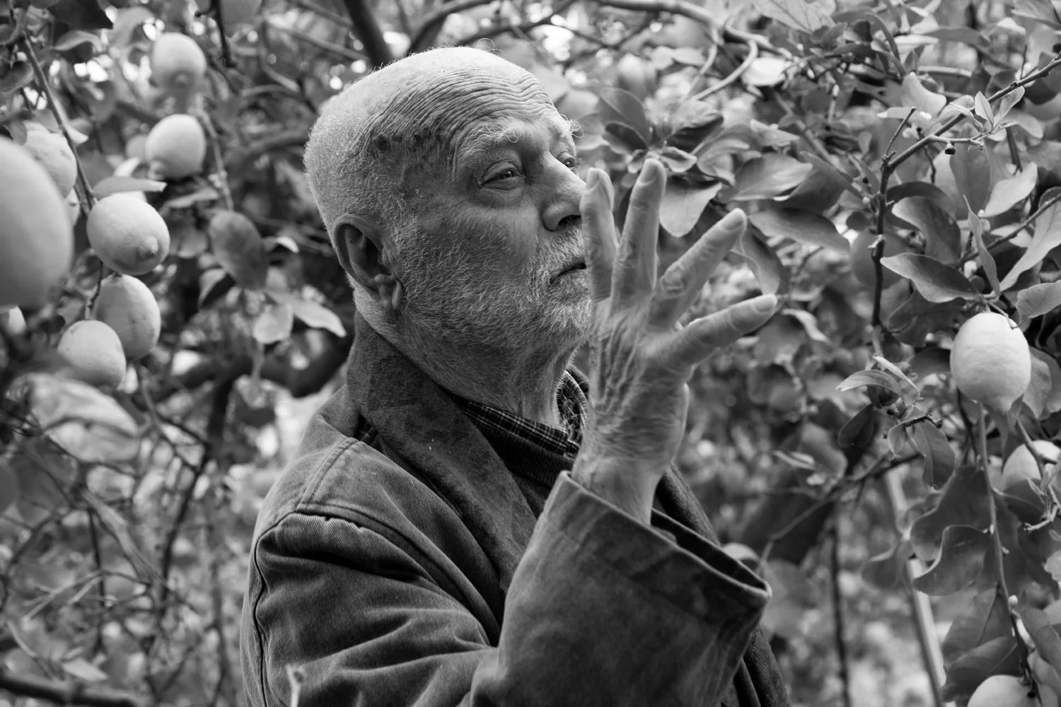 Ferdinando Scianna — Il fotografo dell'ombra