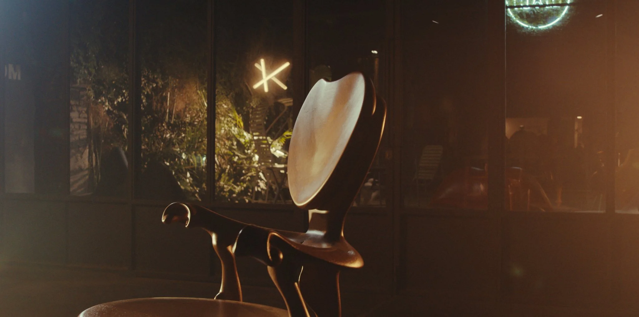frames_dlv_rizoma_22.jpg