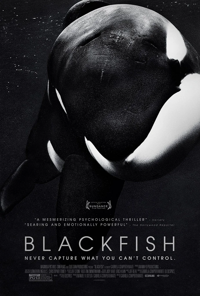 The Blackfish Effect: Seaworld Stock drops 30%