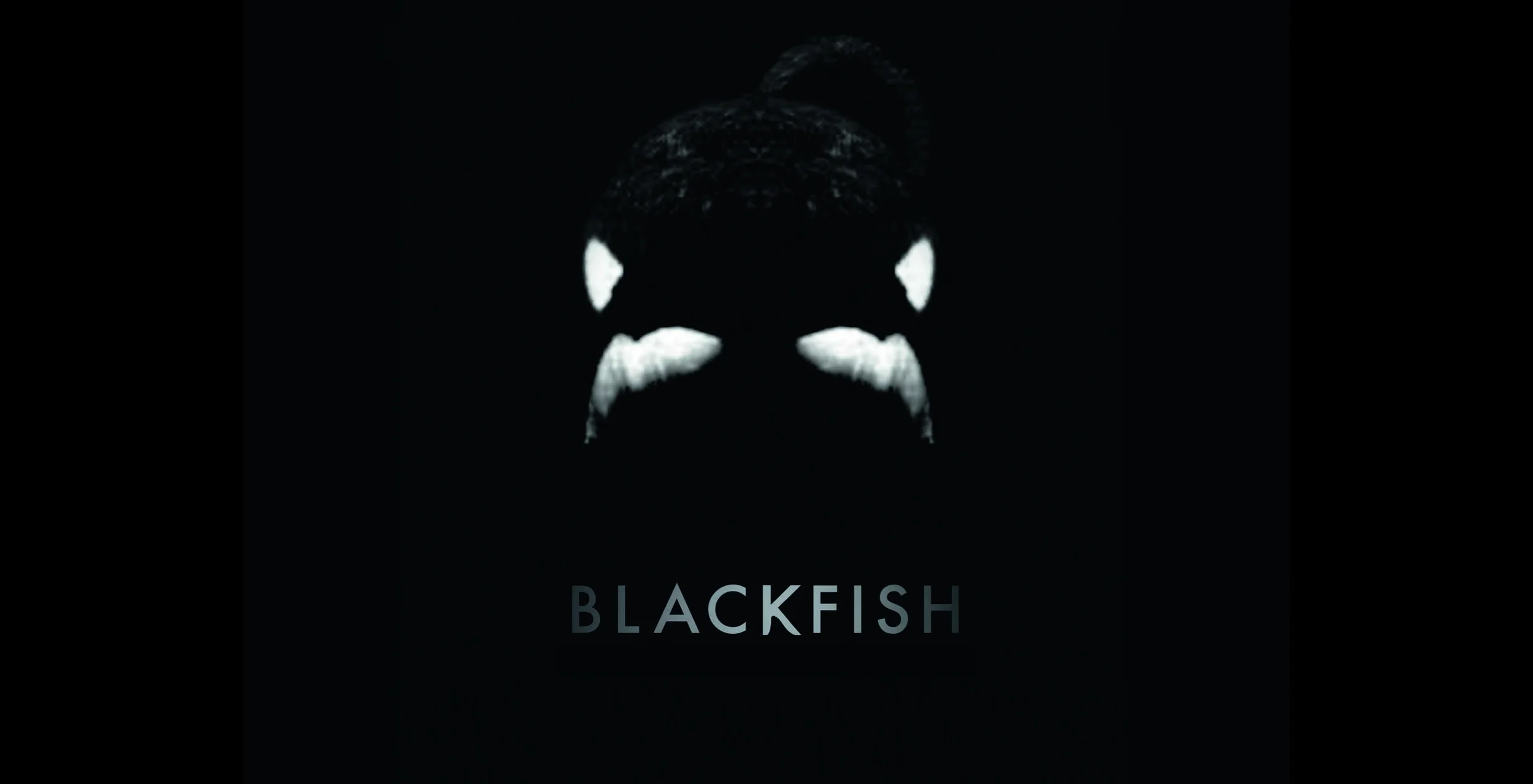 Blackfish_quad_20cm-CMYK.jpg