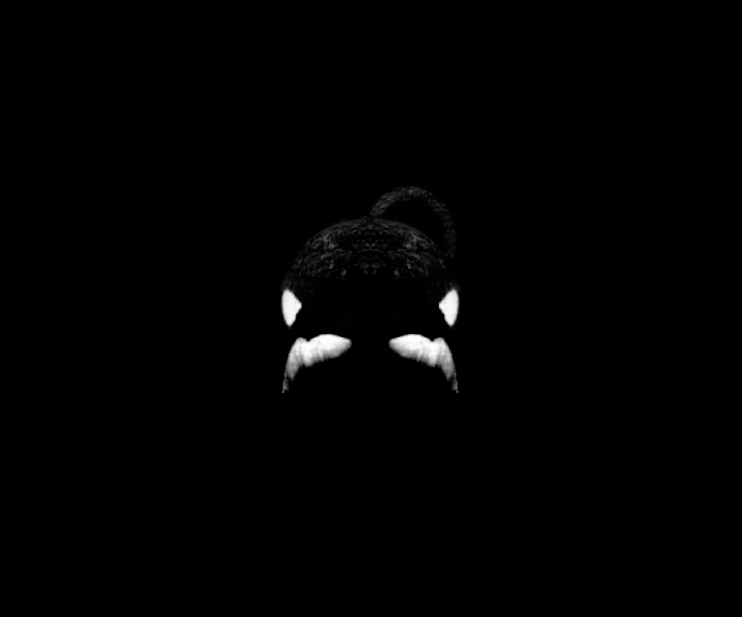 Tilikum is seriously ill - says SeaWorld