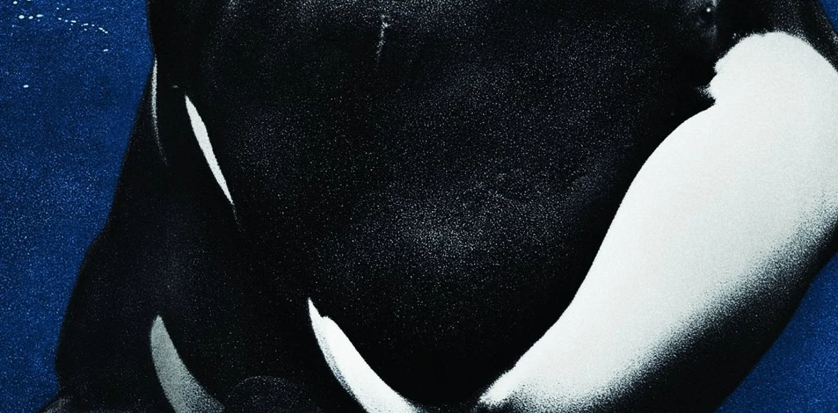 RIP Tilikum