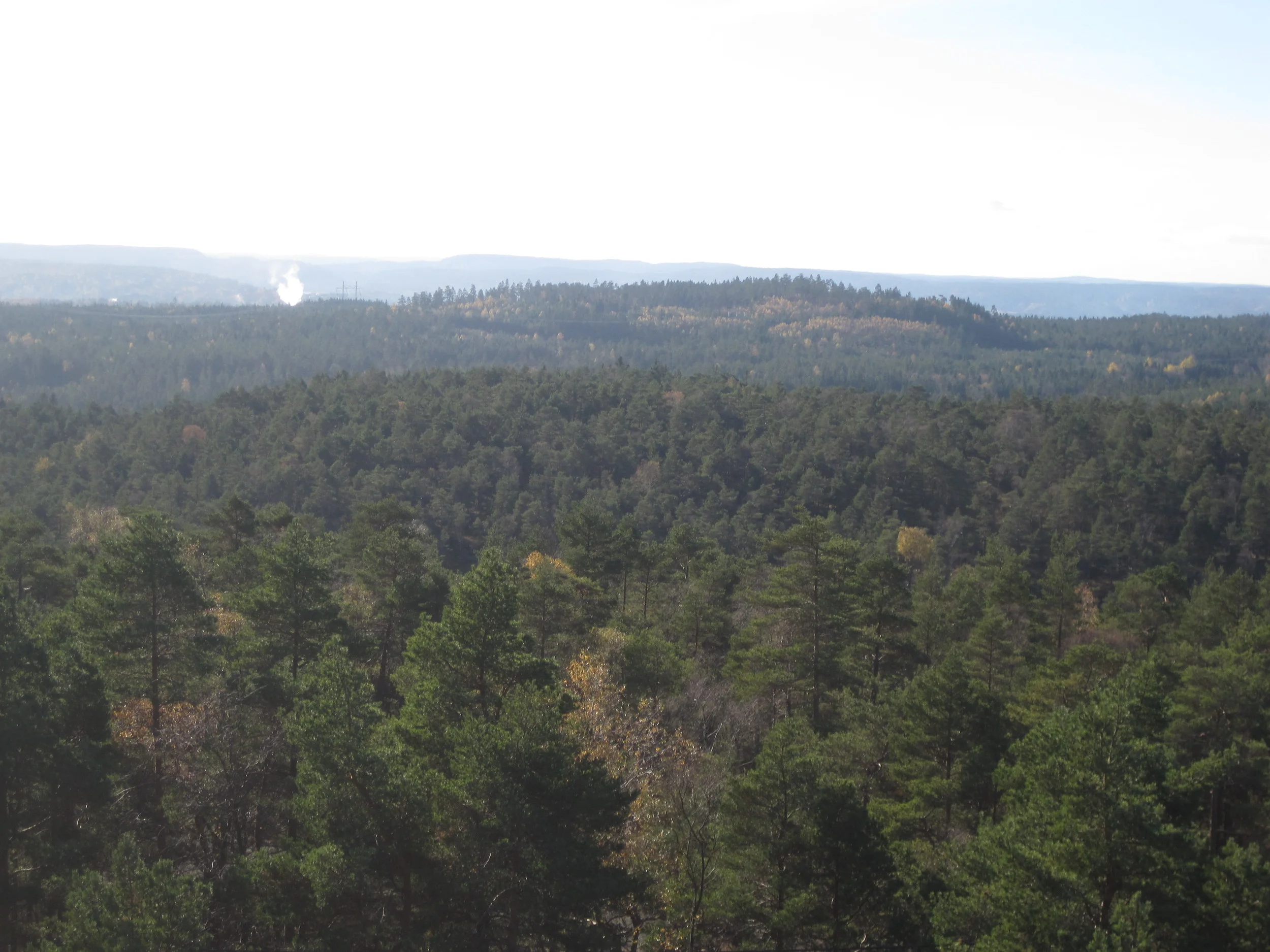 Primo obiettivo raggiunto!