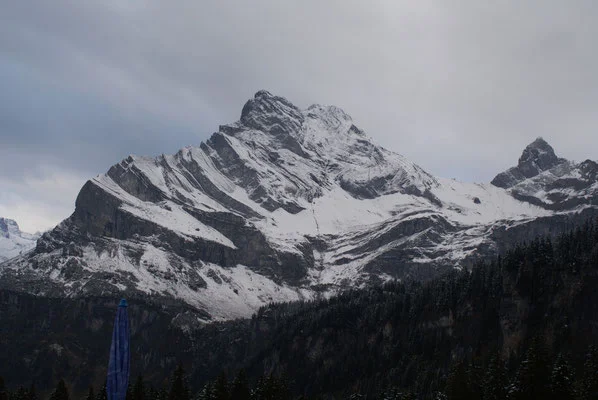 Dalle stelle alle stalle! 