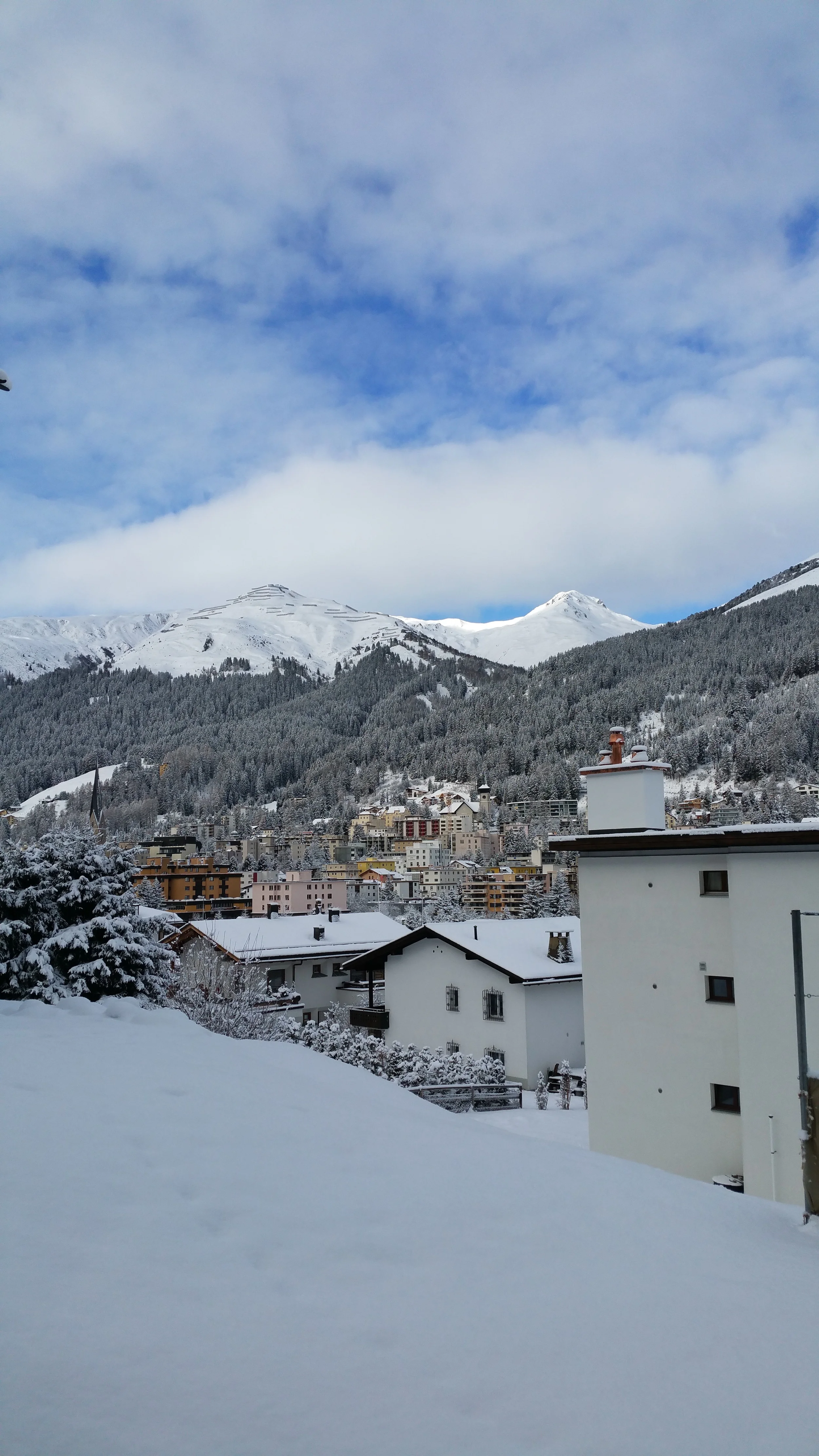 2016: anno nuovo... stessa vita!