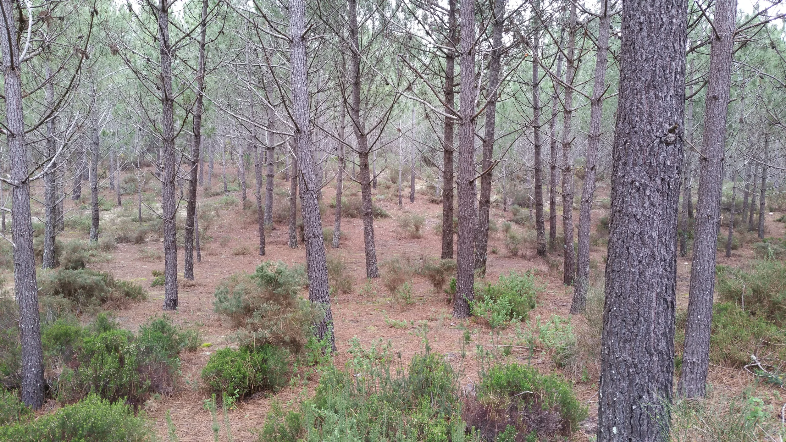 Portogallo sotto l'acqua!