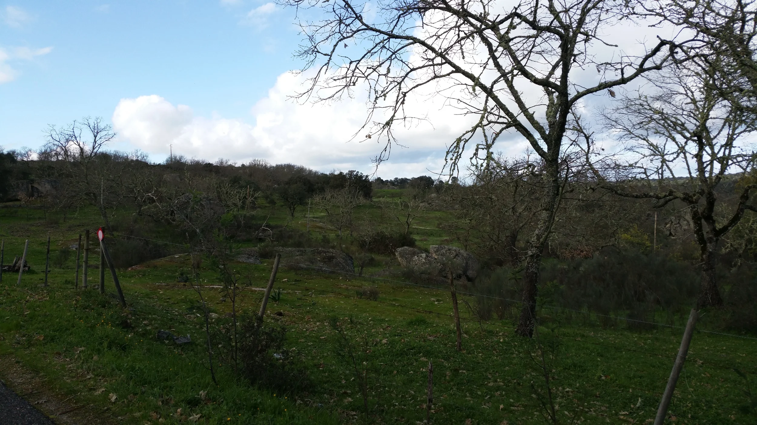 terreno nei dintorni di Castelo de Vide