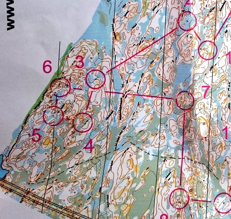 Quando la vita non segue i piani....