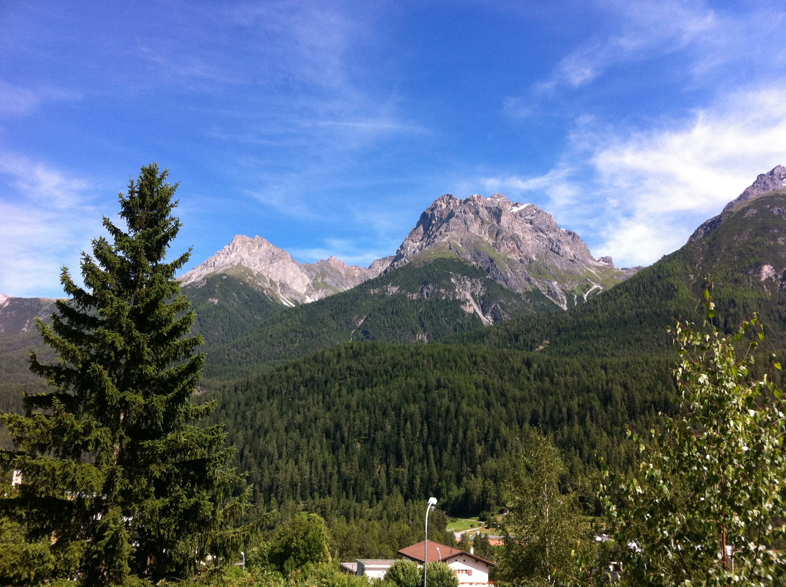 Tre settimane in Engadina