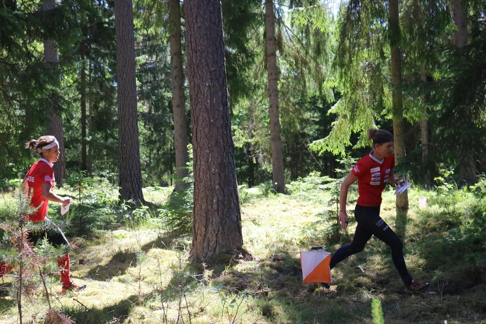 Su, giù e di nuovo su: montagne russe di emozioni