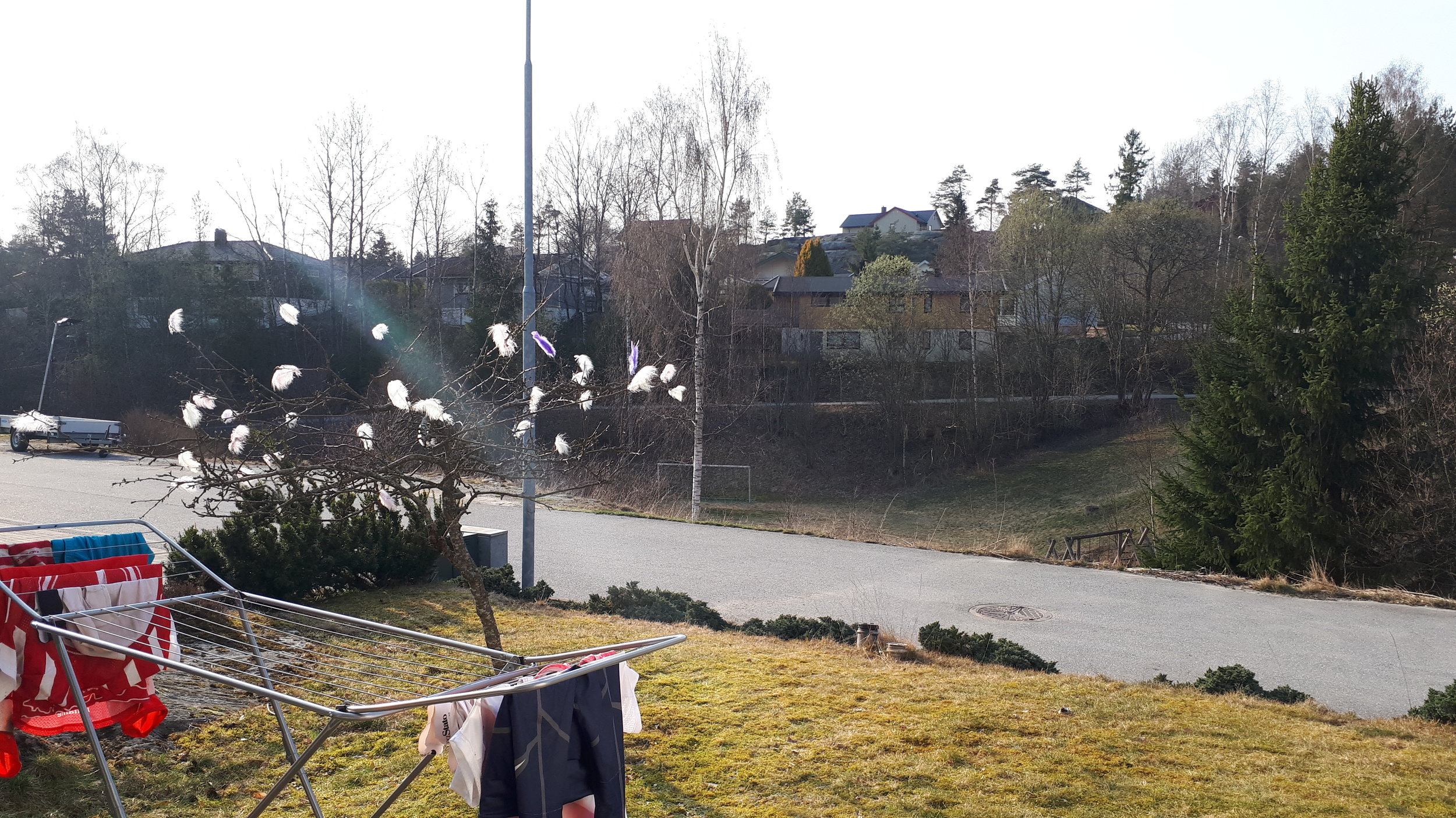 En uke i Norge!